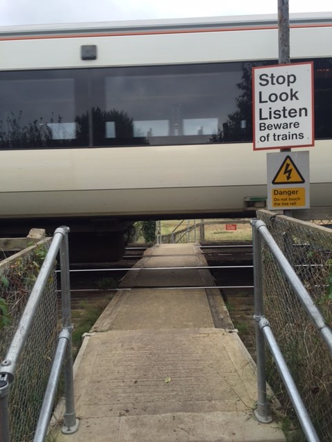 Willingdon Trees level crossing: Train on Willingdon Trees level crossing