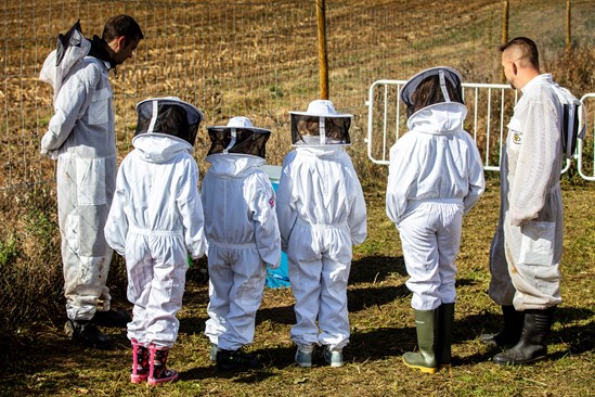 Pupils from The Radstone Primary School on an HS2 site with the Great British Bee Project