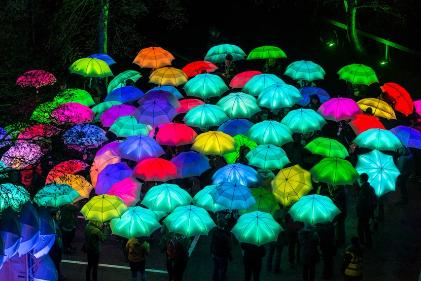 Carnival atmosphere as dazzling dancers join illuminated parade: cirquebijouumbrellaproject-andrepattenden.jpg