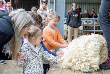Woolly Weekend at the National Museum of Rural Life. Photo © Ruth Armstrong-3