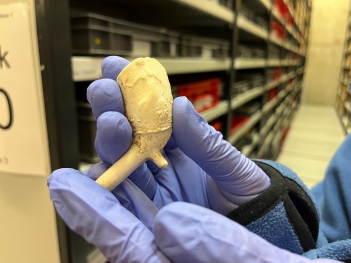 ELOR archive: Other unusual finds included a clay pipe bowl featuring the carefully carved, seated figure of Britannia, thought to date from around the 1840s.