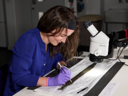Conservator Bethan Bryan works on the Bronze Age Carnoustie Hoard. Photo © National Museums Scotland (3)