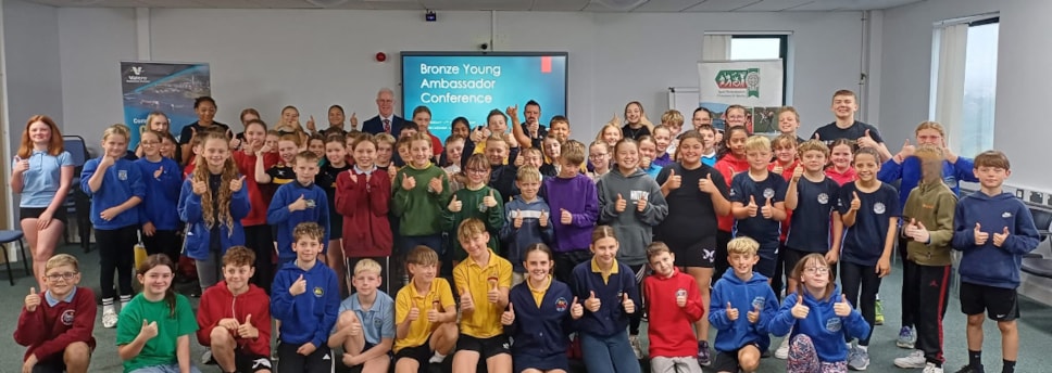 Bronze ambassadors - Llysgenhadon efydd