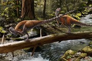 Vectidromeus: Vectidromeus