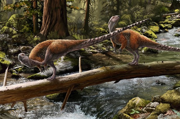 Isle of Wight fossil shows Europe had different herbivorous dinosaurs to Asia and America: Vectidromeus