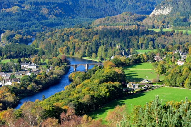 Woodland-D7359 JPG Original Image m39620