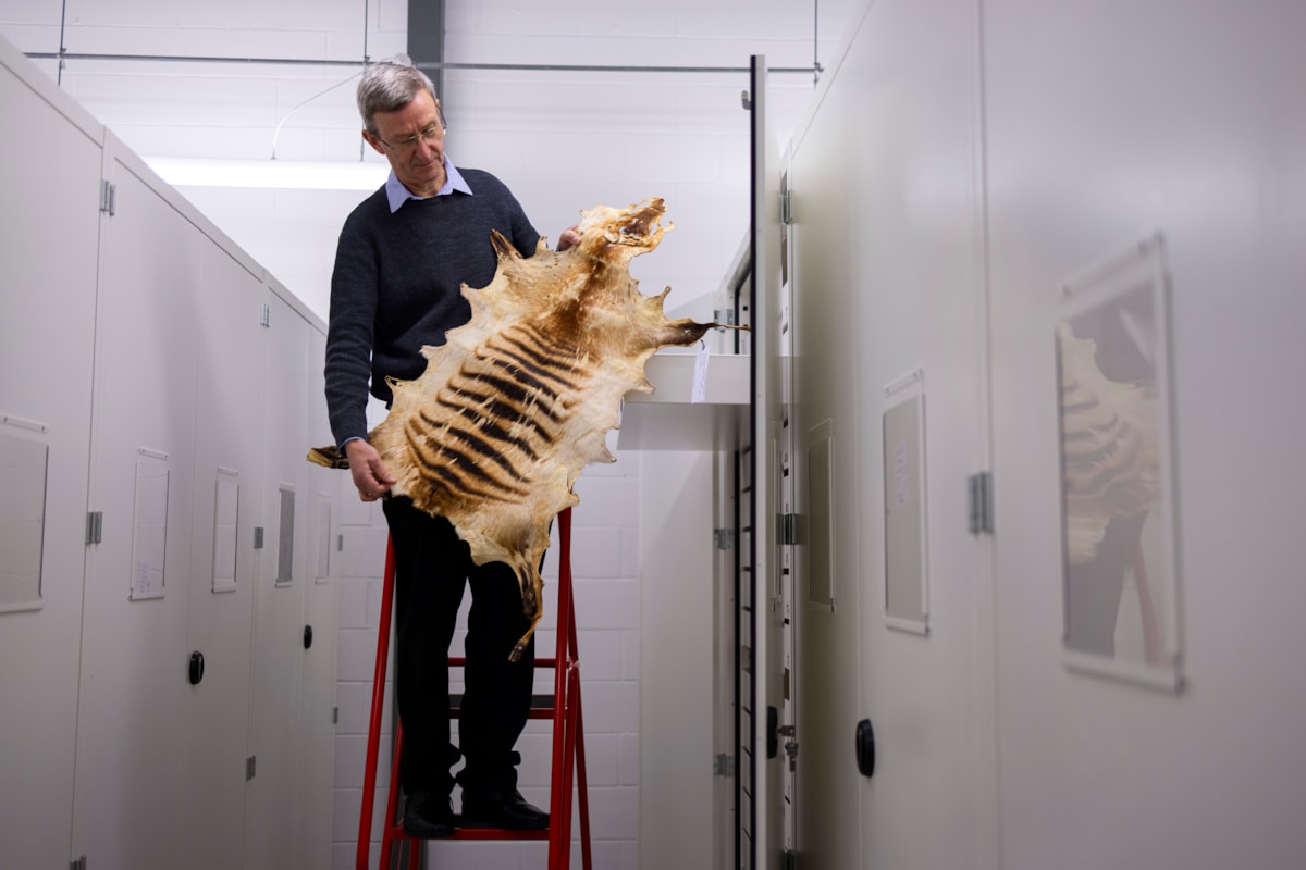 Curator Andrew Kitchener with specimens at the National Museums Collection Centre. Photo © Duncan McGlynn (4)