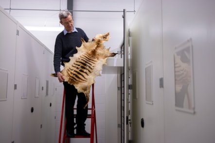 Curator Andrew Kitchener with specimens at the National Museums Collection Centre. Photo © Duncan McGlynn (4)
