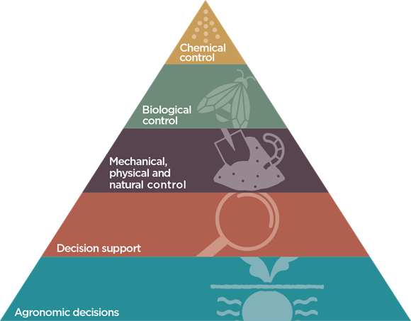 Evidencing IPM with digital tools