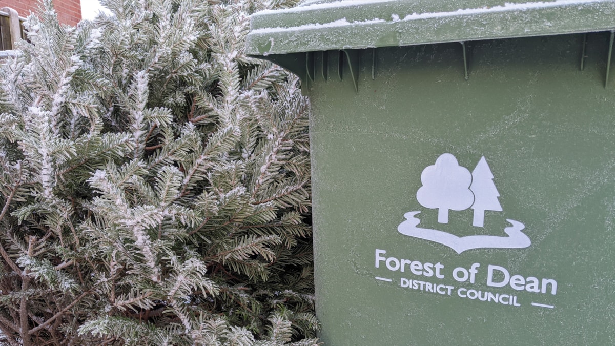 Christmas tree collections