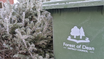 Christmas tree collections