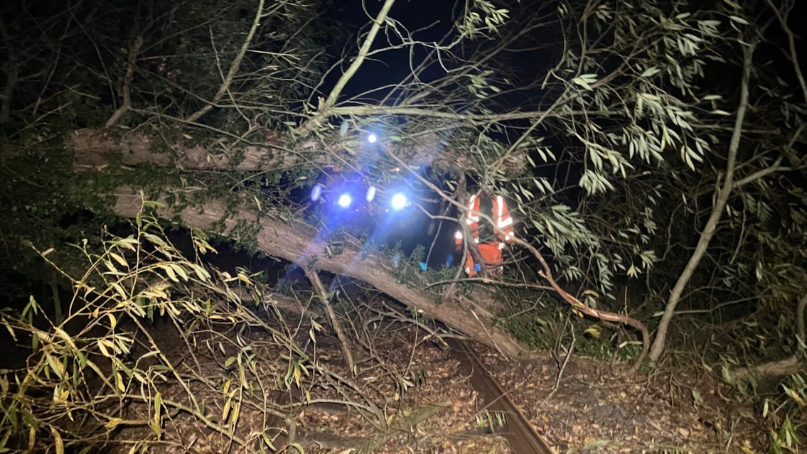 Rail passengers thanked after North West Storm Boelo disruption: Tree on the line with Network Rail engineer - Whatcroft (25 Oct)