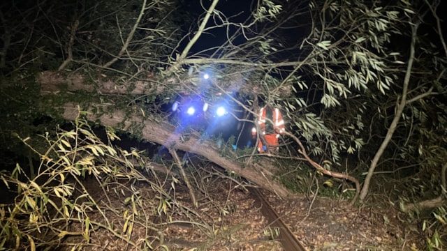 Rail passengers thanked after North West Storm Boelo disruption: Tree on the line with Network Rail engineer - Whatcroft (25 Oct)