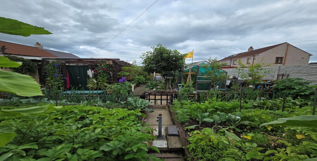 Mr Stewart Kilmarnock Best Vegetable Garden