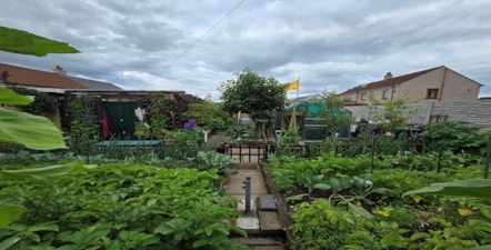 Mr Stewart Kilmarnock Best Vegetable Garden