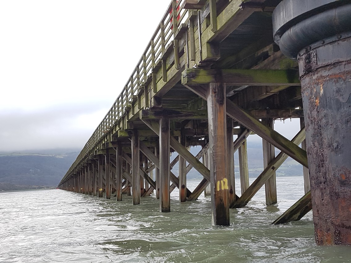 Barmouth wood decay from water level