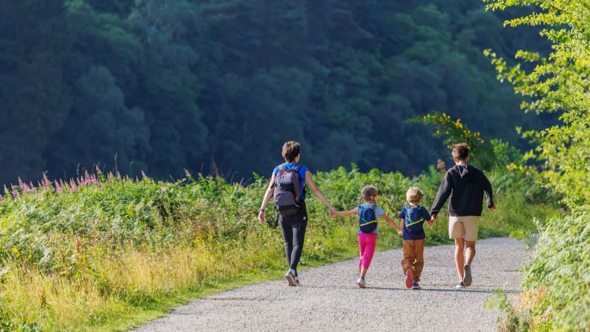 Zoonoses - Cover Photo