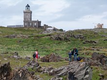 Isle of May visitors - 2016