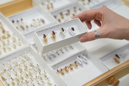 DiSSCo first specimen hoverfly digitisation at the National Museums Collection Centre credit Stewart Attwood