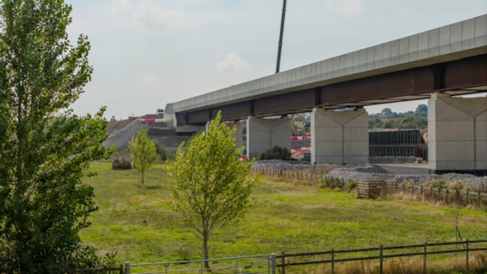 View of the completed Westbury viaduct with new habitat sites in the foreground October 2026