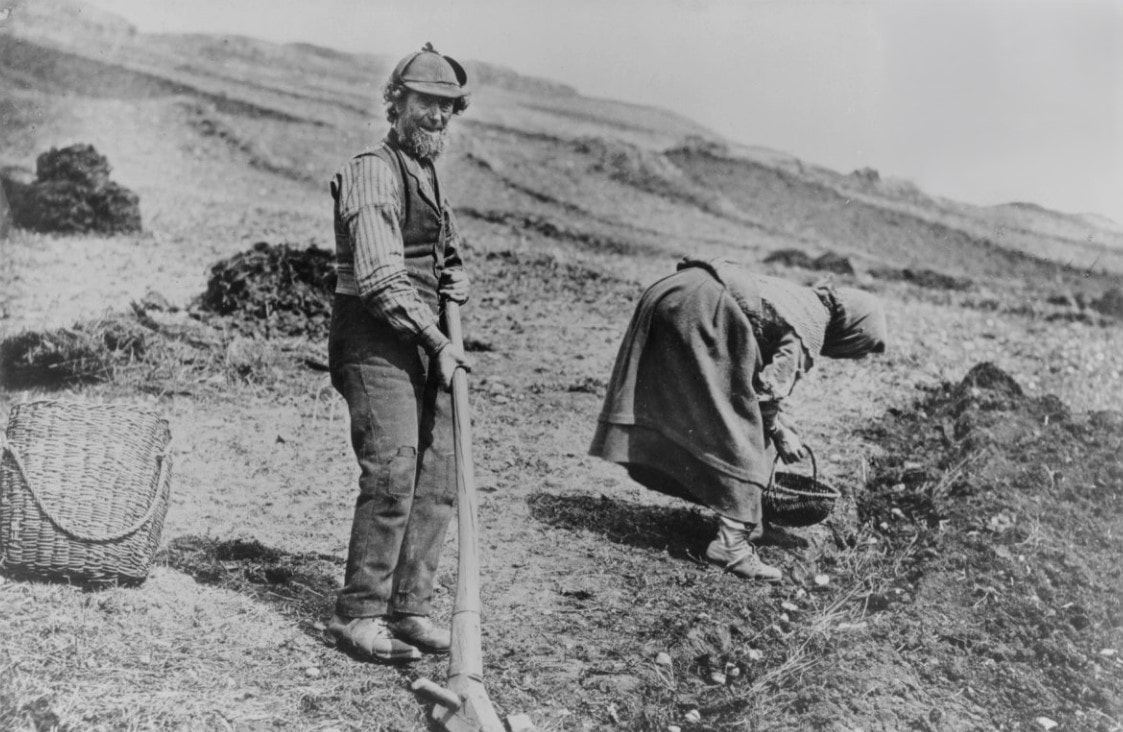 Potato planting using a cas-chrom, Hebrides c.1900.SLA.C.6345
