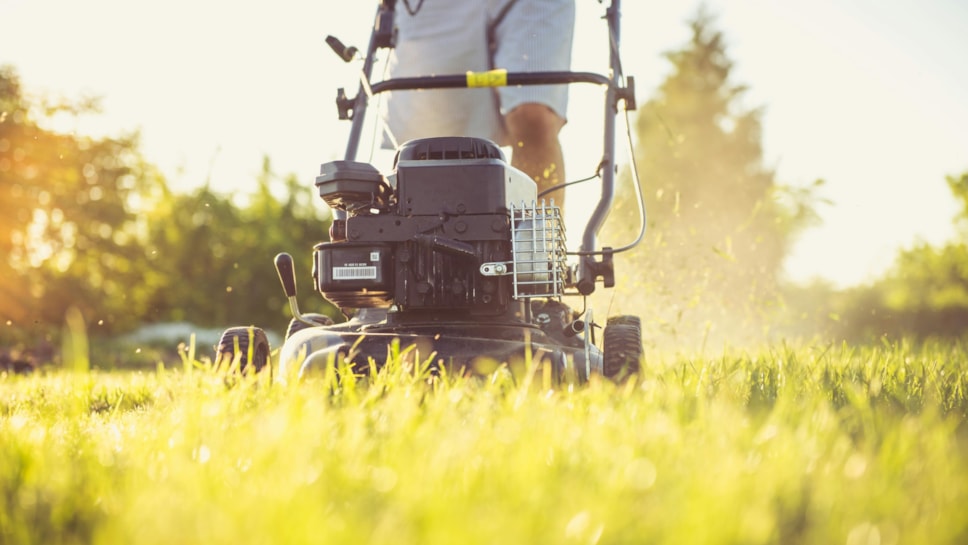 Grass cutting