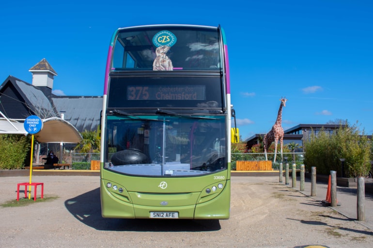 Bus carries conservation message and new connections for Colchester Zoological Society