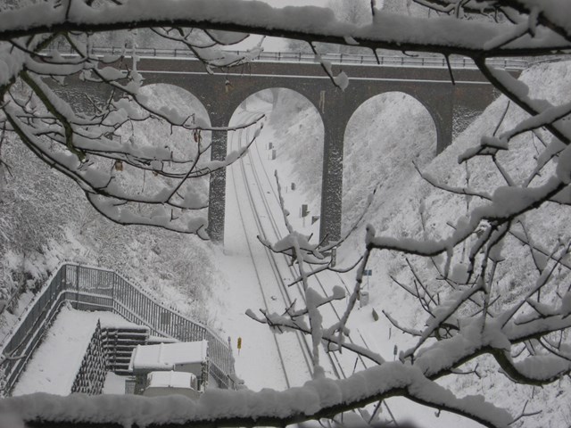 January 2010, snowy Sussex