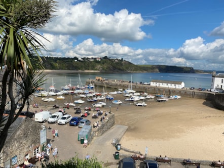 Tenby 8