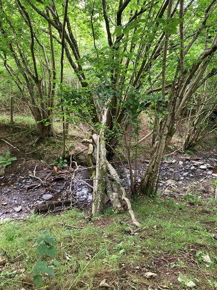 Image is of a leaky barrier which slows the water flow down