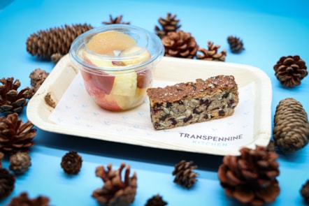 Fruit   flapjack