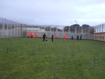 Haverigg tree planting