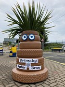 Grimsby Tip Palm Tree