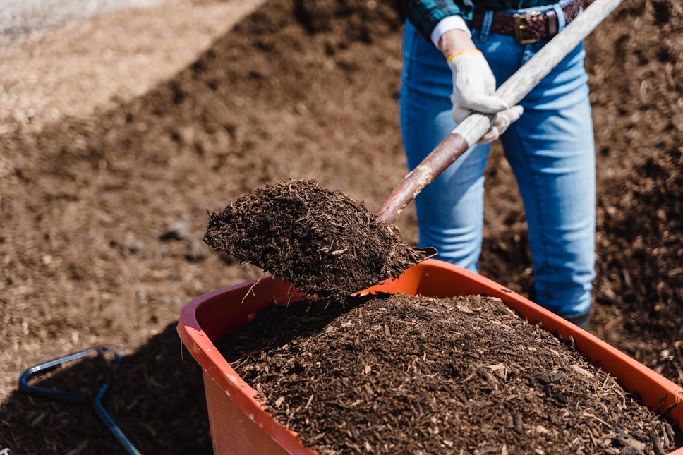 Composting webinar October 2023