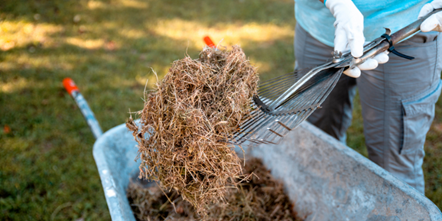 Garden waste-2