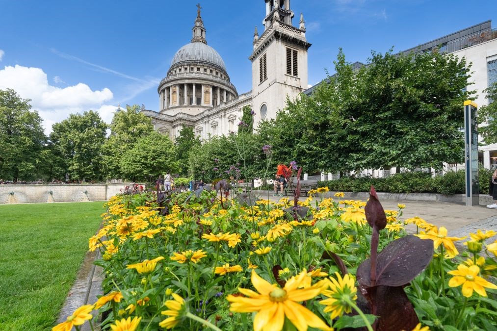 CheapsideStPauls MickeyLee