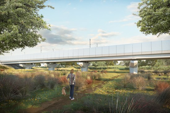 Balsall Common viaduct - landscape option - additional marshland-2