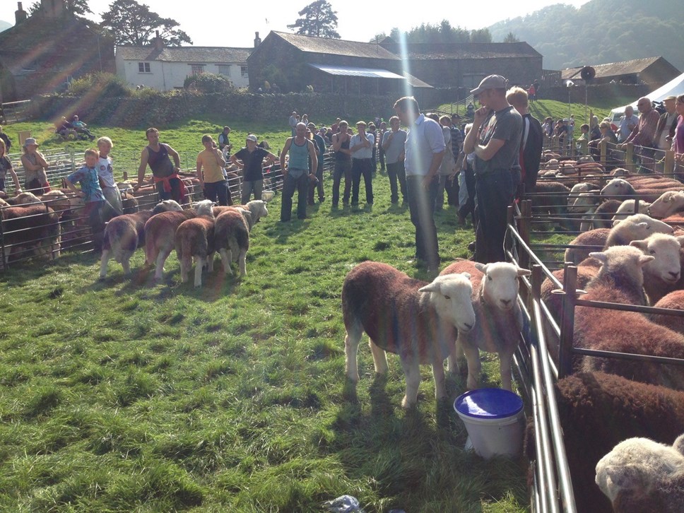sheep farmers meet pic