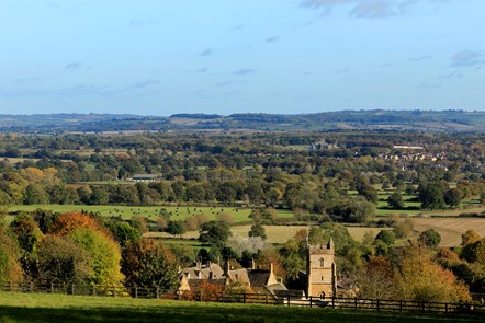 Cotswolds