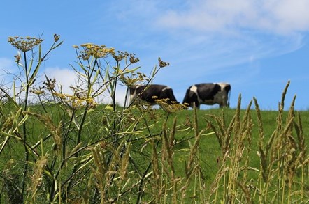 RuralWales (2)