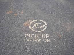 Appeal for public to report dog fouling: Appeal for public to report dog fouling