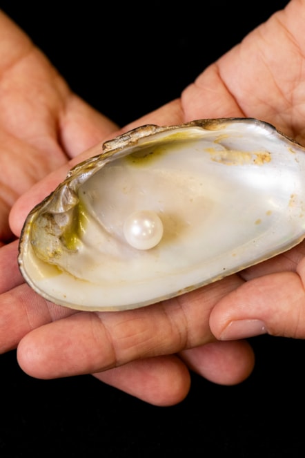 The Abernethy Pearl. Image copyright Duncan McGlynn (1)-2