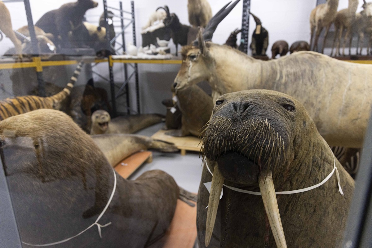 Natural Sciences at the National Museums Collection Centre © Duncan McGlynn-17