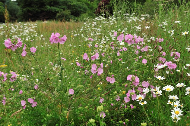 Free day out for the family at Battleby House: Battleby-D7014