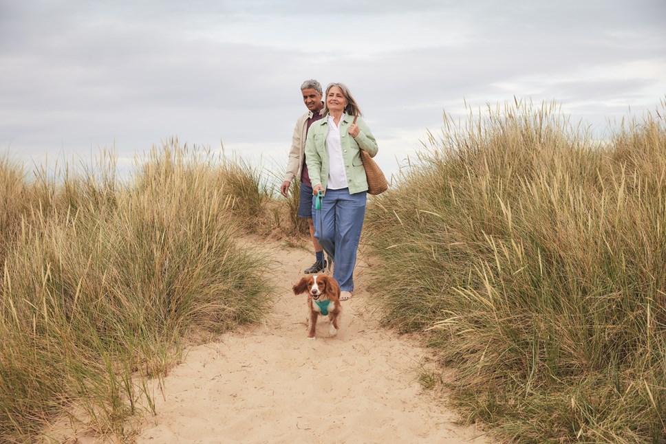 Dog Walks at Seashore