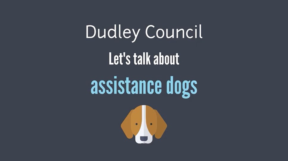 assistance dogs