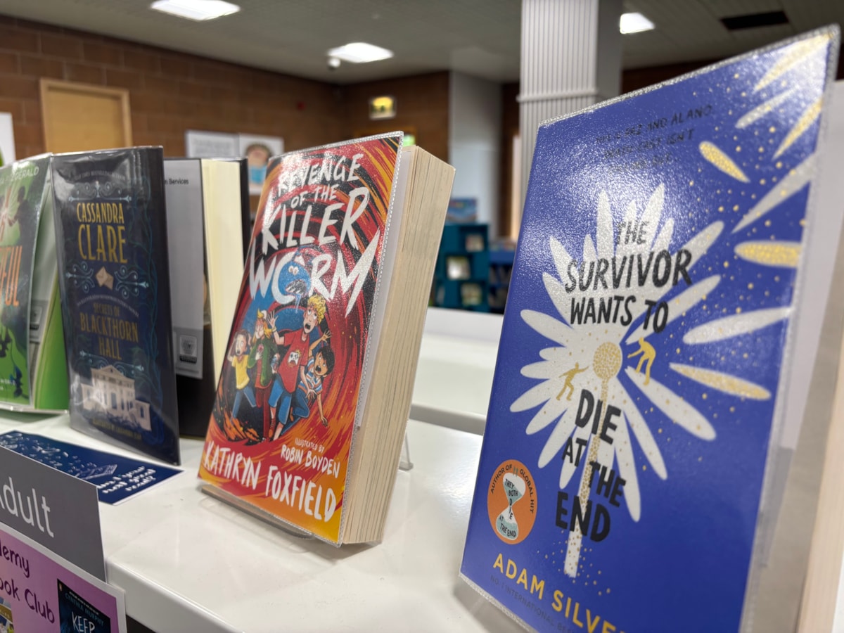 Books at Elgin Library 1