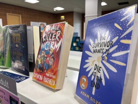 Books at Elgin Library 1