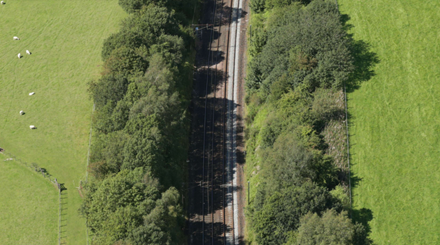 Devegetation works on West Coast Mainline between Gretna and Lockerbie: WCM1