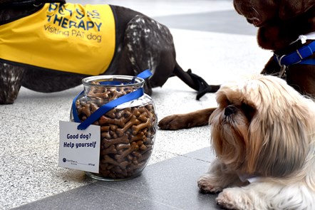 Dogs at Blackpool 3